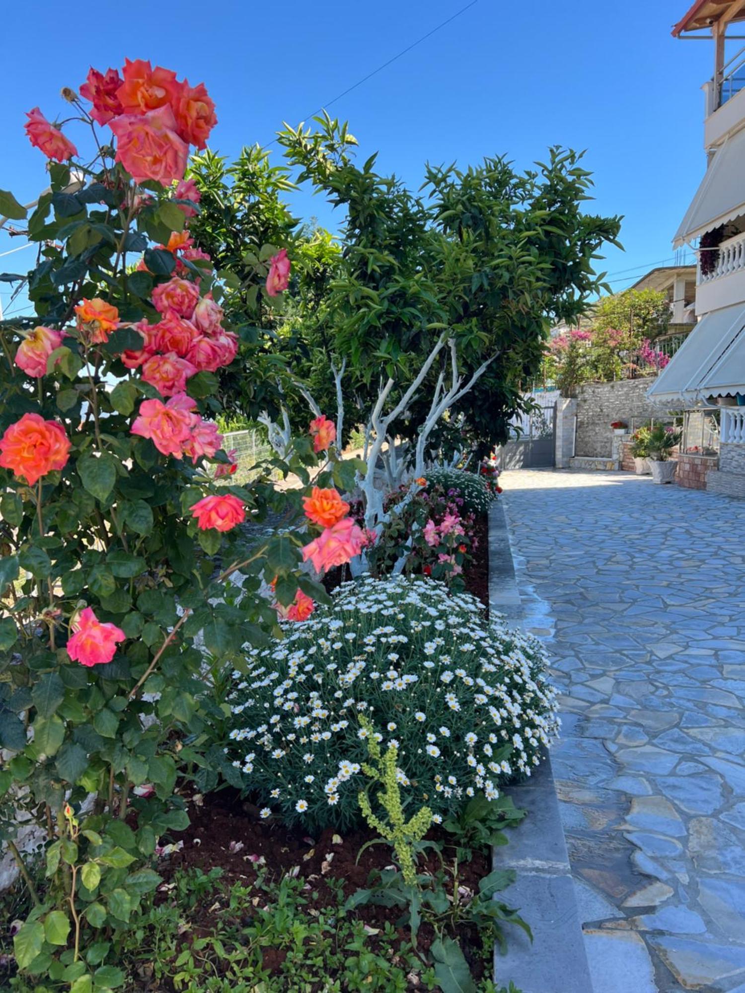 Amazing Familiar Apartments And Rooms Sarandë Buitenkant foto