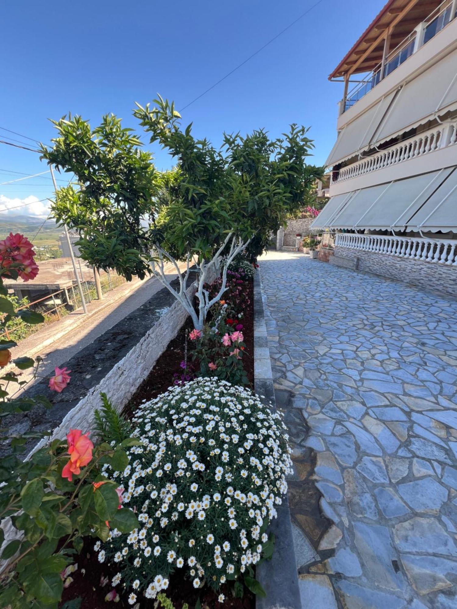 Amazing Familiar Apartments And Rooms Sarandë Buitenkant foto